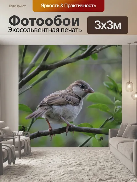 Фотообои Птицы