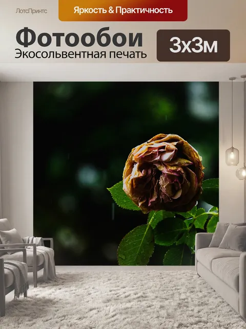 Фотообои Розы