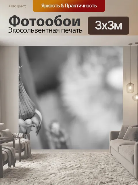 Фотообои Одуванчик