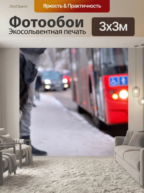 Фотообои Собака