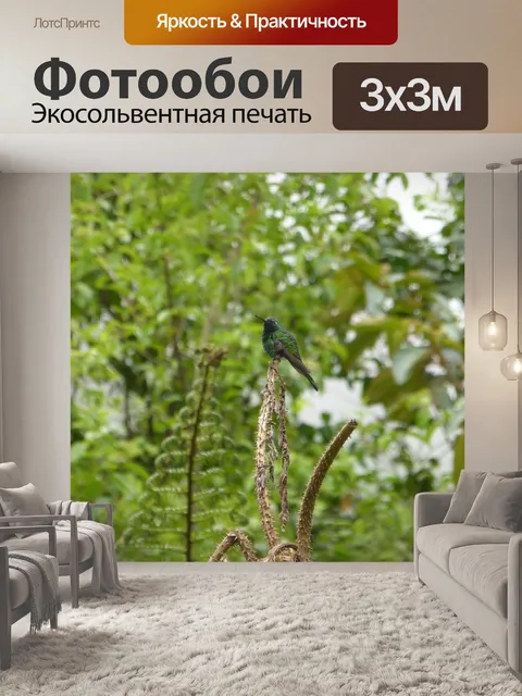 Фотообои Птицы