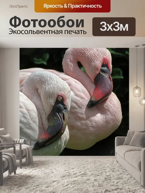 Фотообои Фламинго