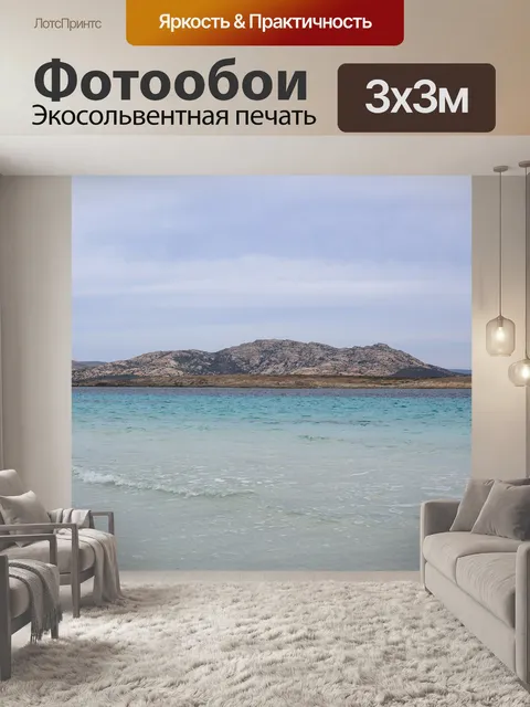 Фотообои Чайка