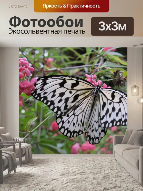 Фотообои бабочка