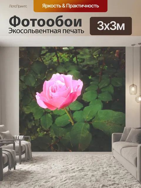 Фотообои Розовый
