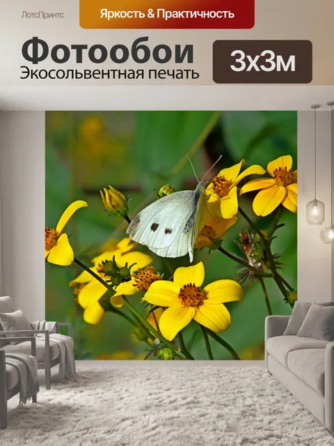 Фотообои Бабочка