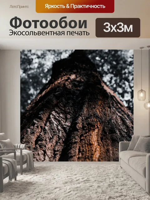 Фотообои Лес