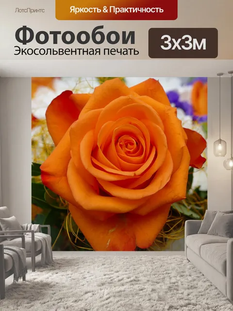 Фотообои Роза