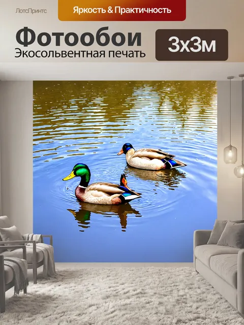 Фотообои охота в чистом озере, где утки резвятся и создают круги, отражая свет и тень