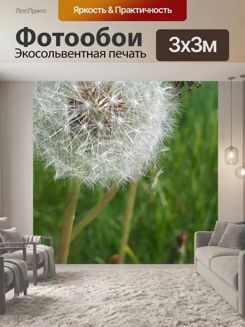 Фотообои Одуванчик