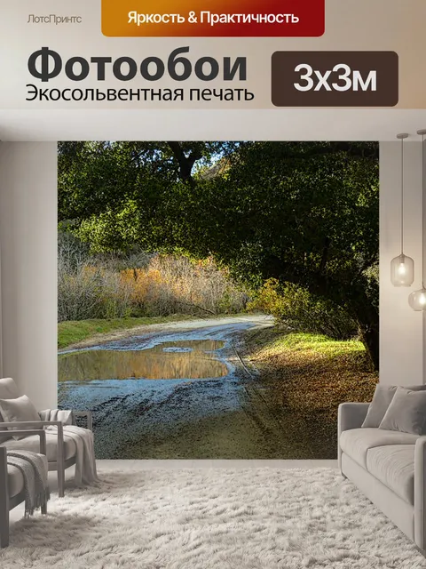 Фотообои Луг Дорога после дождя