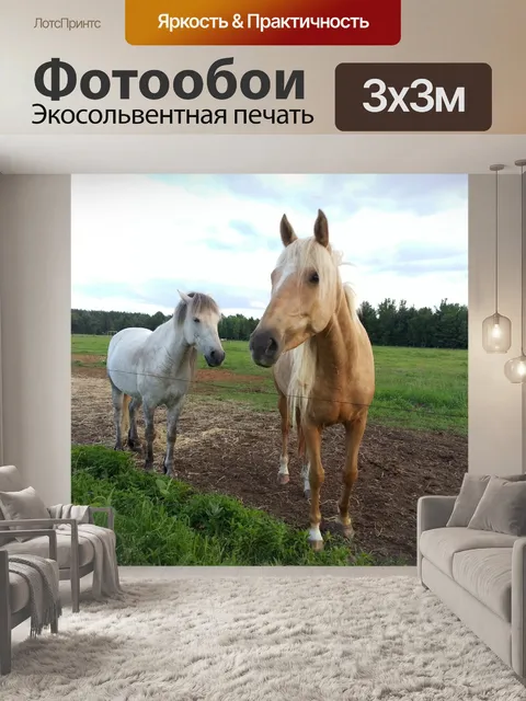 Фотообои Лошади и пони