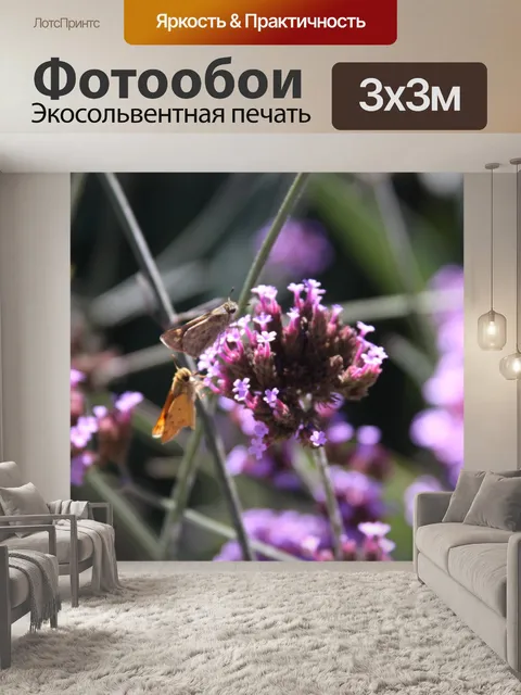 Фотообои Бабочки на Фиолетовые цветы