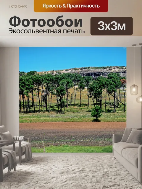 Фотообои Грунтовая дорога с рядом деревьев