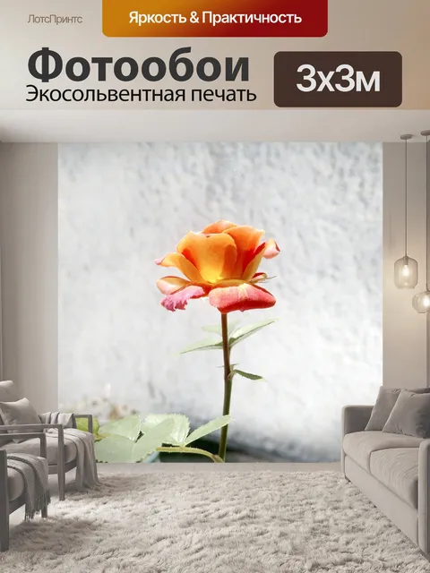 Фотообои Цветы