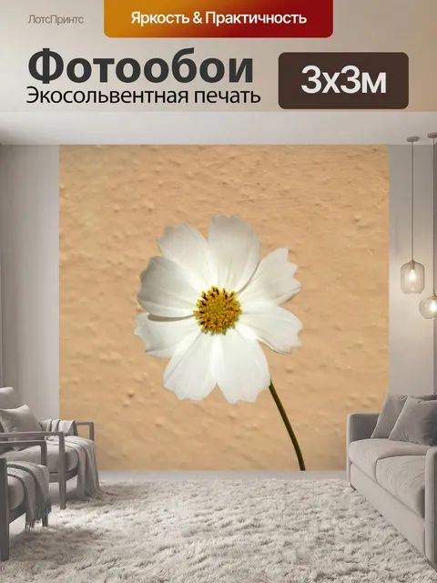 Фотообои Цветок