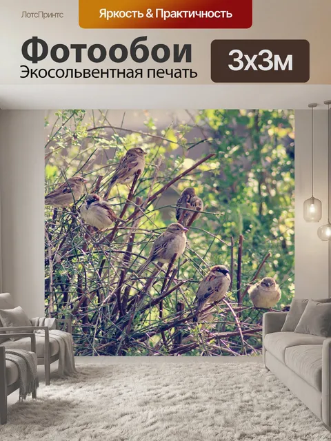 Фотообои Воробьи