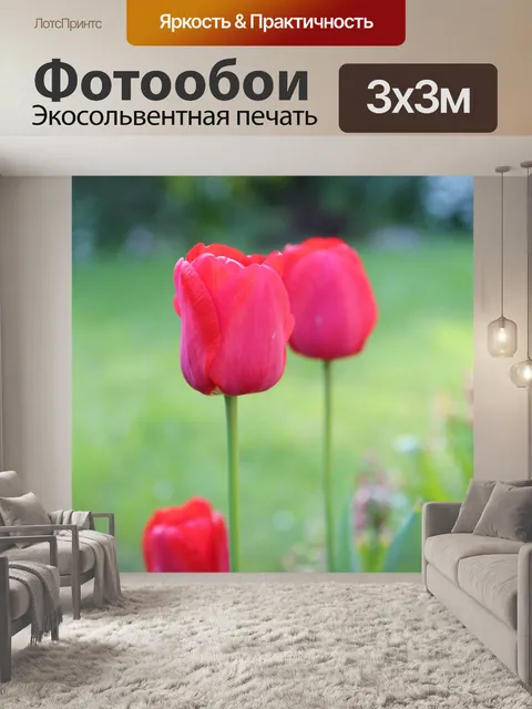 Фотообои Красные тюльпаны