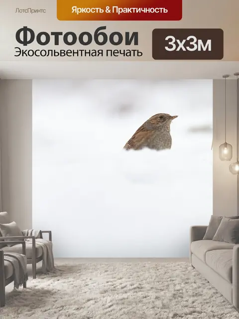Фотообои Снег