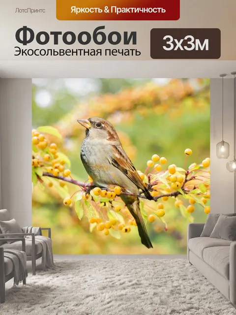 Фотообои Птица