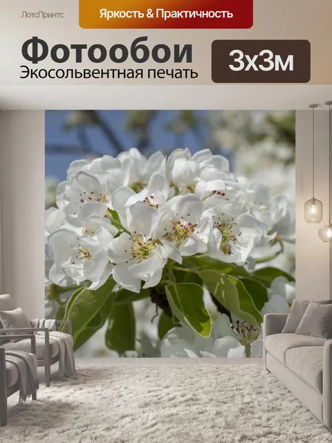 Фотообои Цветок