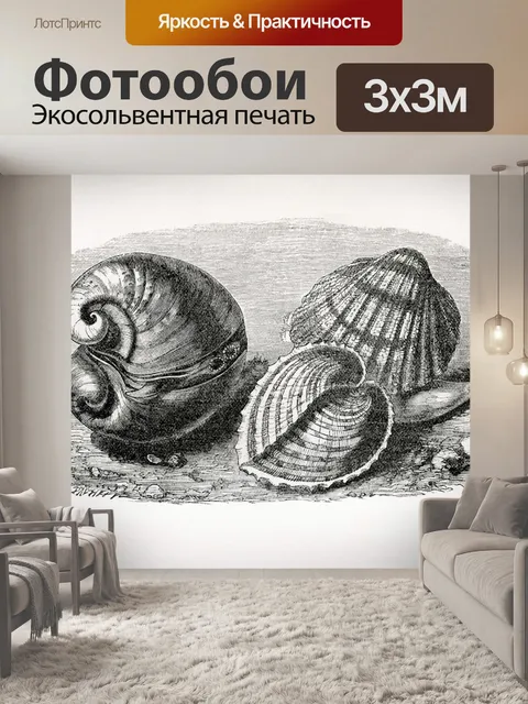 Фотообои Винтажная иллюстрация ракушек
