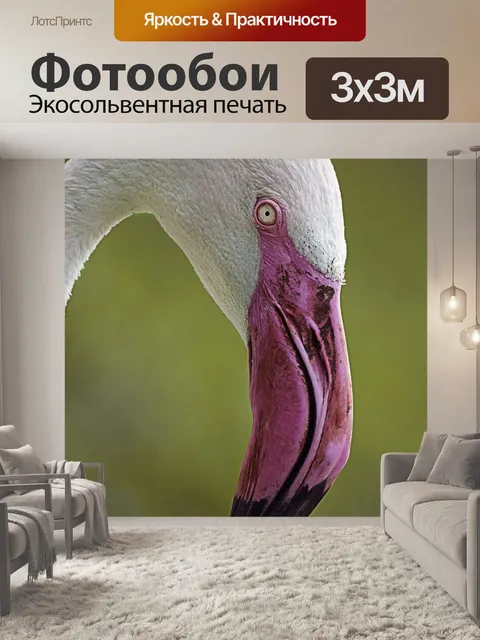 Фотообои Фламинго