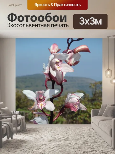 Фотообои Цветы