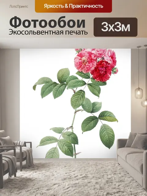Фотообои Роза рамка винтажное искусство
