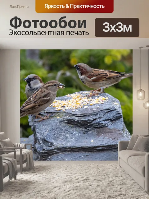 Фотообои Птицы