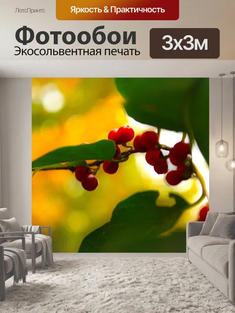 Фотообои Ягоды