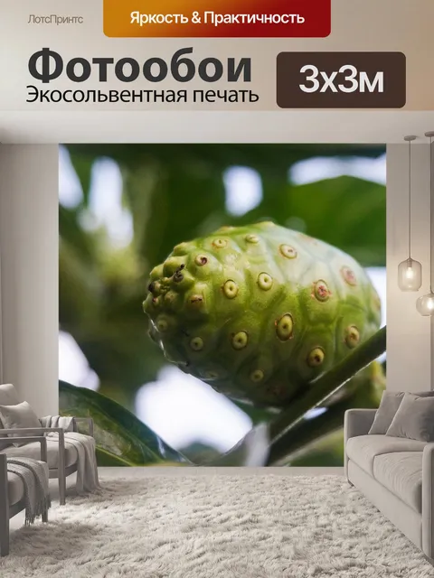 Фотообои Фрукты