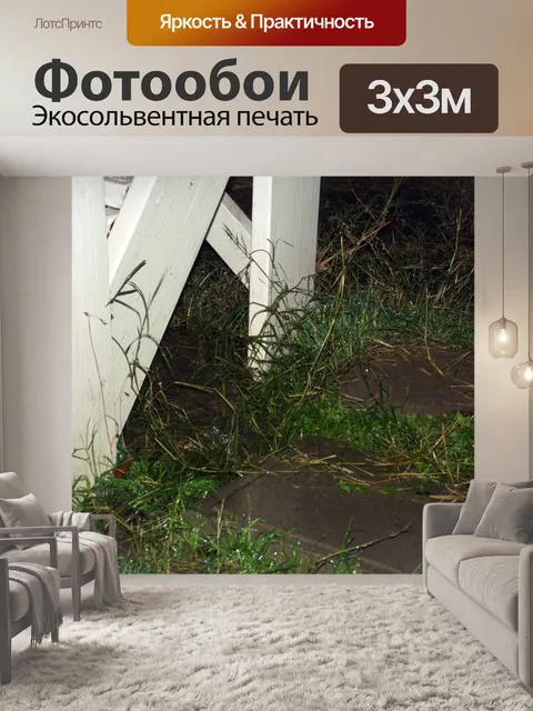 Фотообои дождливые лестнице древесины