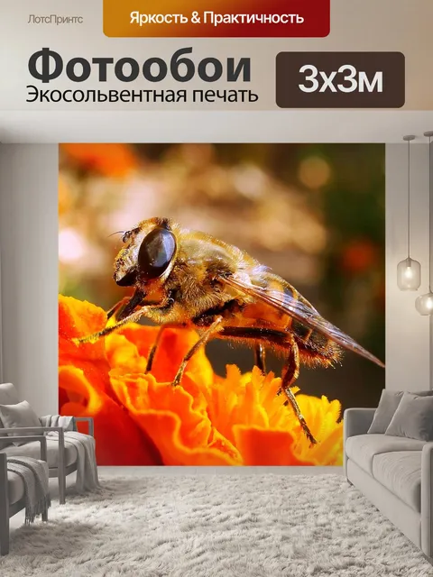 Фотообои Природа