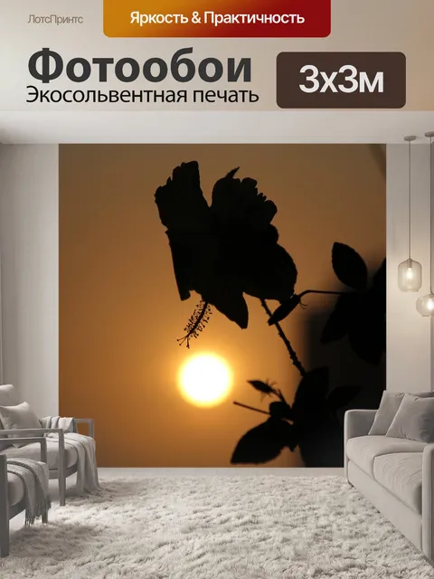 Фотообои Силуэт