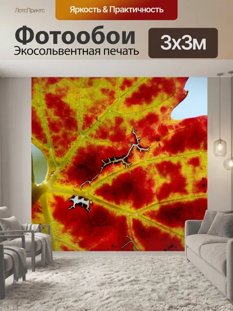 Фотообои Падение