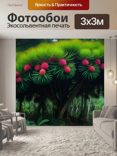 Фотообои картинка рамбутанового дерева в джунглях