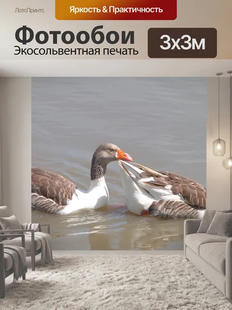 Фотообои Гуси
