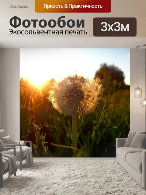 Фотообои Одуванчик