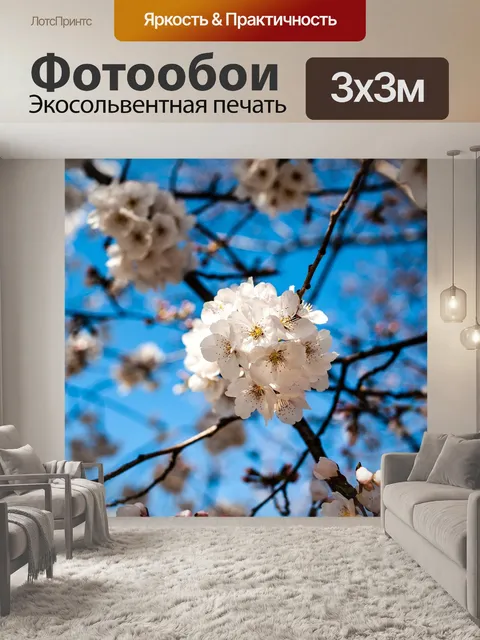 Фотообои Белые цветки