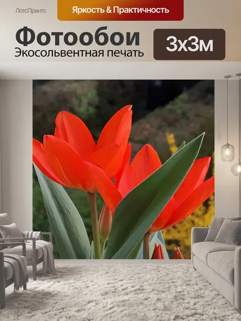 Фотообои Балкон