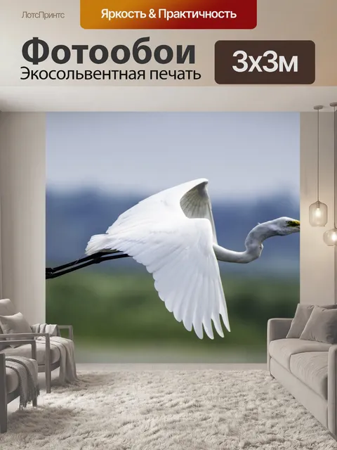 Фотообои Великая цапля в полете