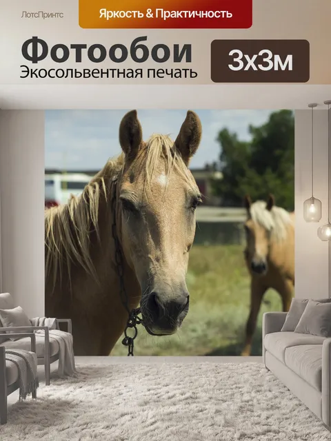 Фотообои Лошадь