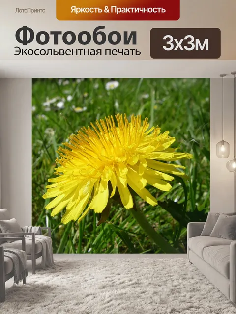 Фотообои Одуванчик