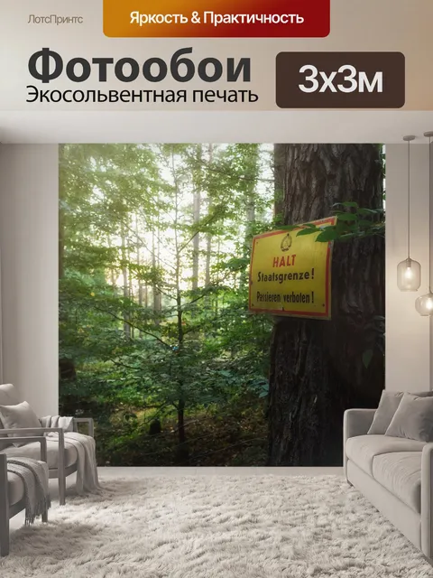 Фотообои Лес