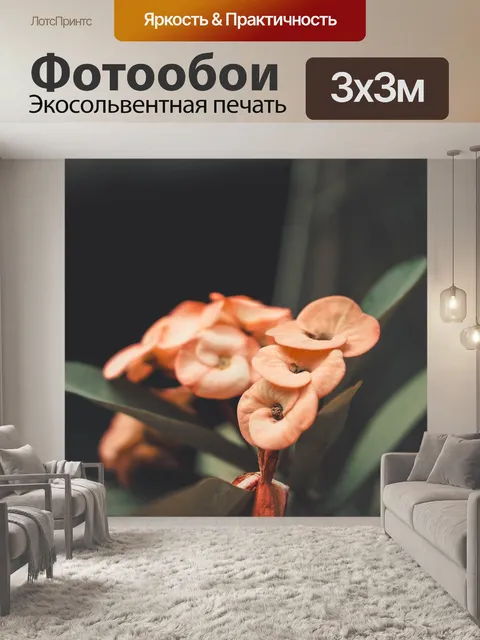 Фотообои Цветок