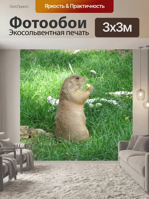 Фотообои Прерий Собака
