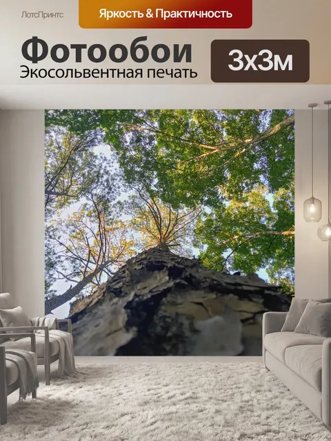 Фотообои Деревья