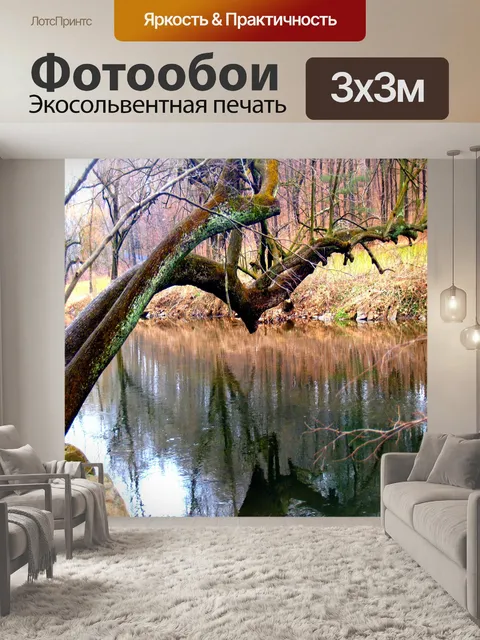 Фотообои Крик на след