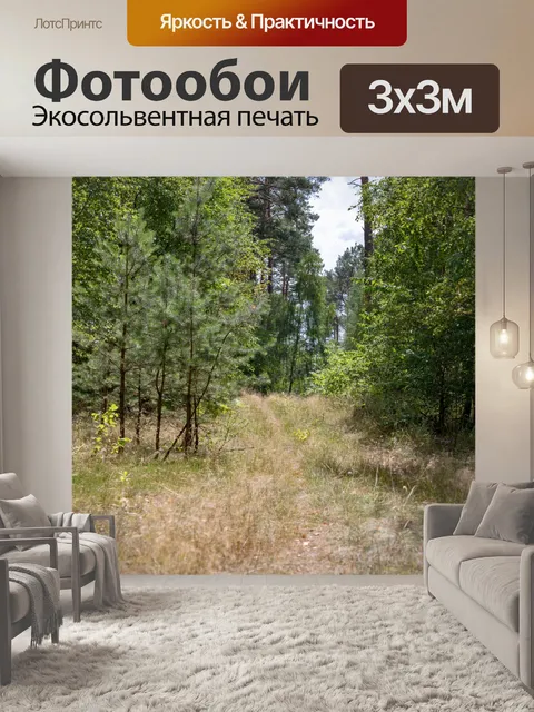 Фотообои лес
